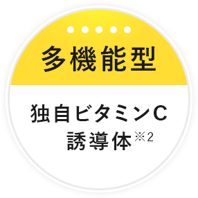 多機能型、独自ビタミンC誘導体