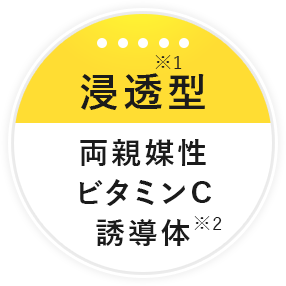 浸透型、両親媒性ビタミンC誘導体