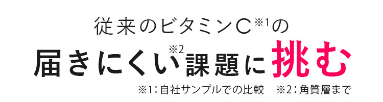 従来のビタミンCの届きにくい課題に挑む