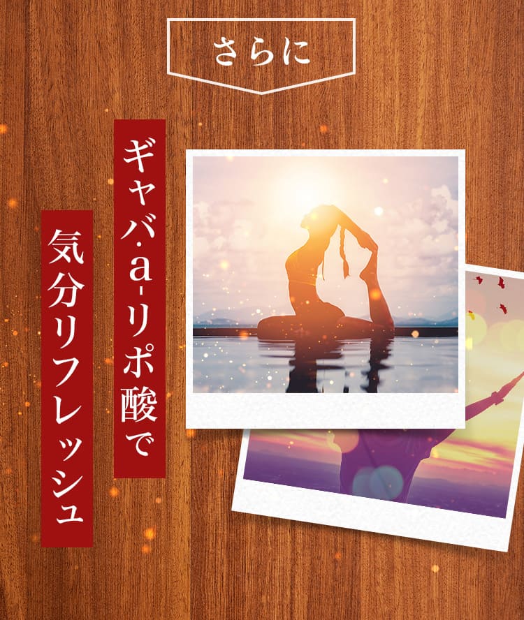 さらに ギャバ・a-リポ酸の元気成分も配合