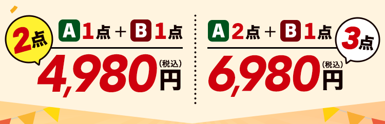 2点で4,980円／3点で6,980円