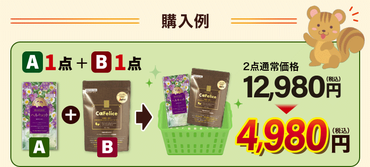 購入例2点セット