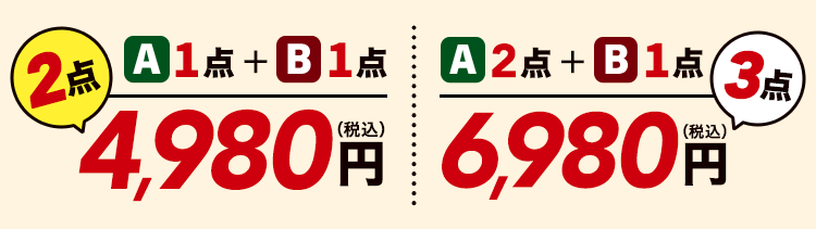 2点で4,980円／3点で6,980円
