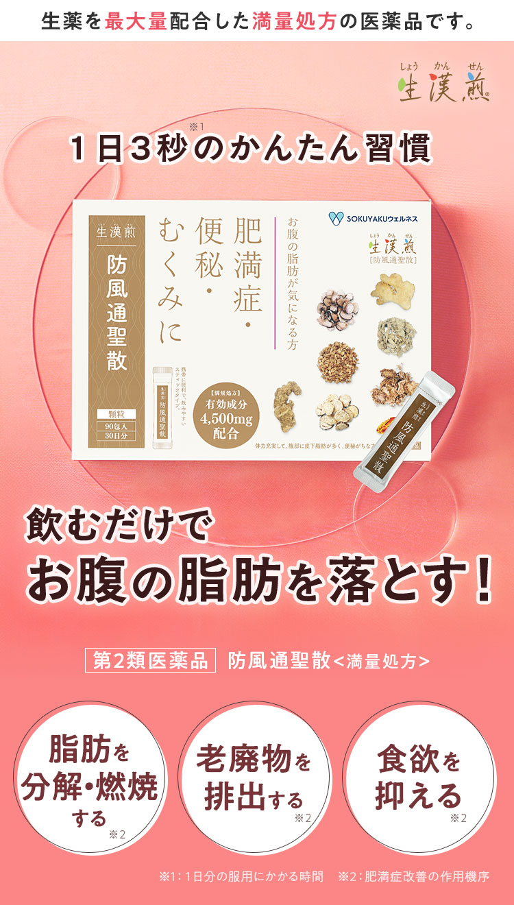 生漢煎 防風通聖散 □セルフメディケーション対象 | SOKUYAKU