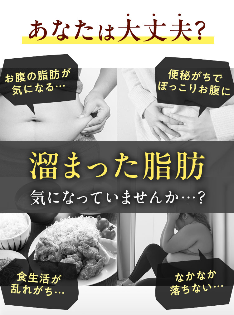 生漢煎 防風通聖散 □セルフメディケーション対象 | SOKUYAKU