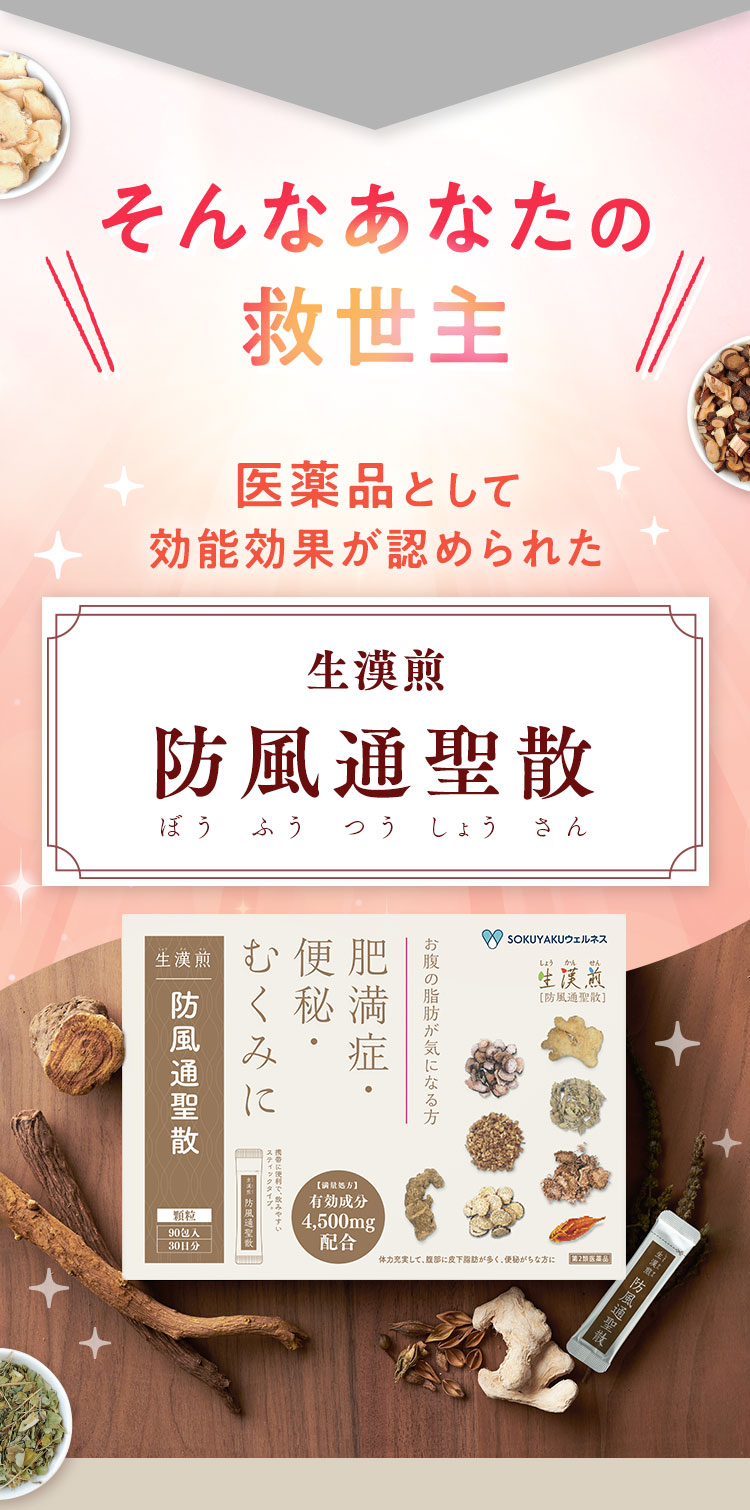 生漢煎 防風通聖散 □セルフメディケーション対象 | SOKUYAKU