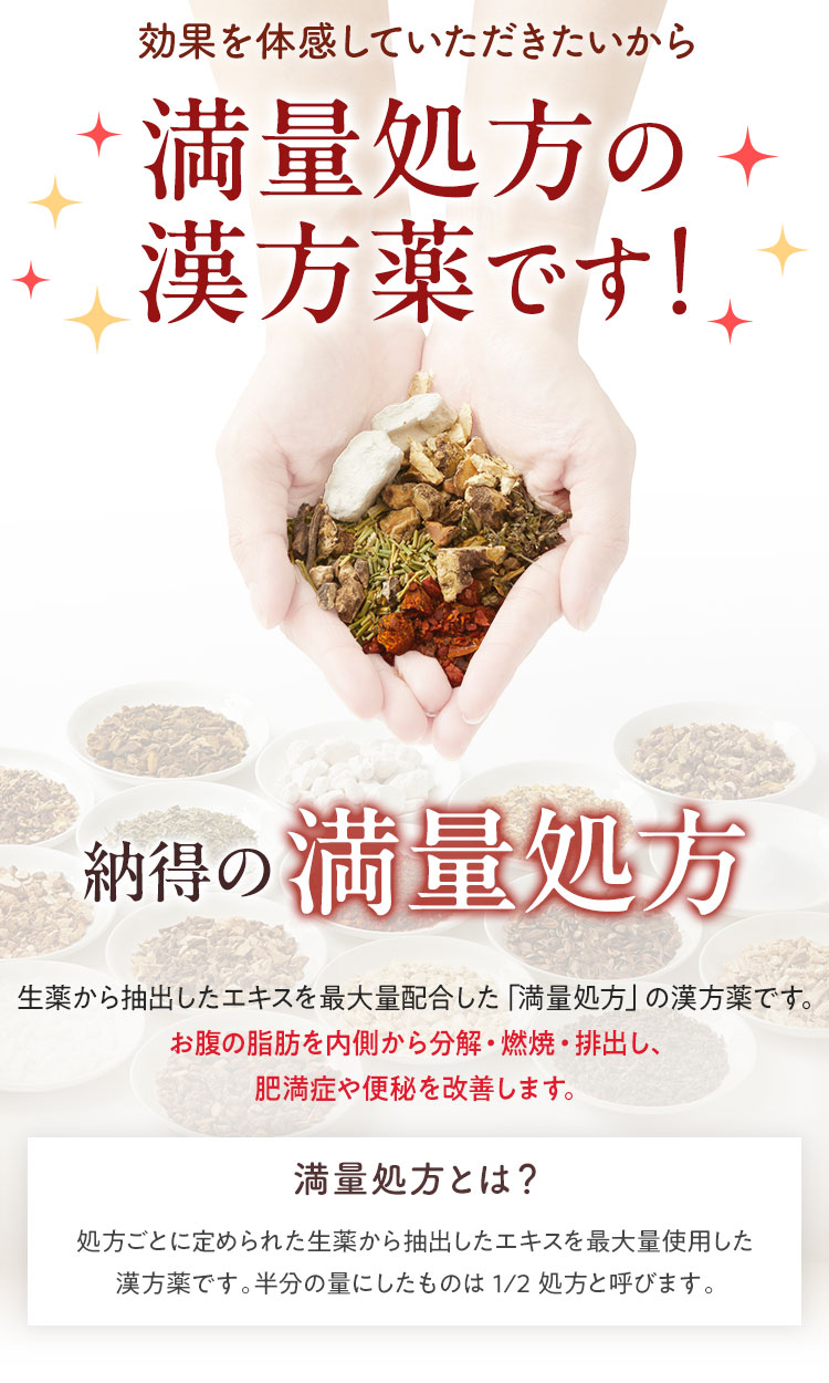 生漢煎 防風通聖散 □セルフメディケーション対象 | SOKUYAKU
