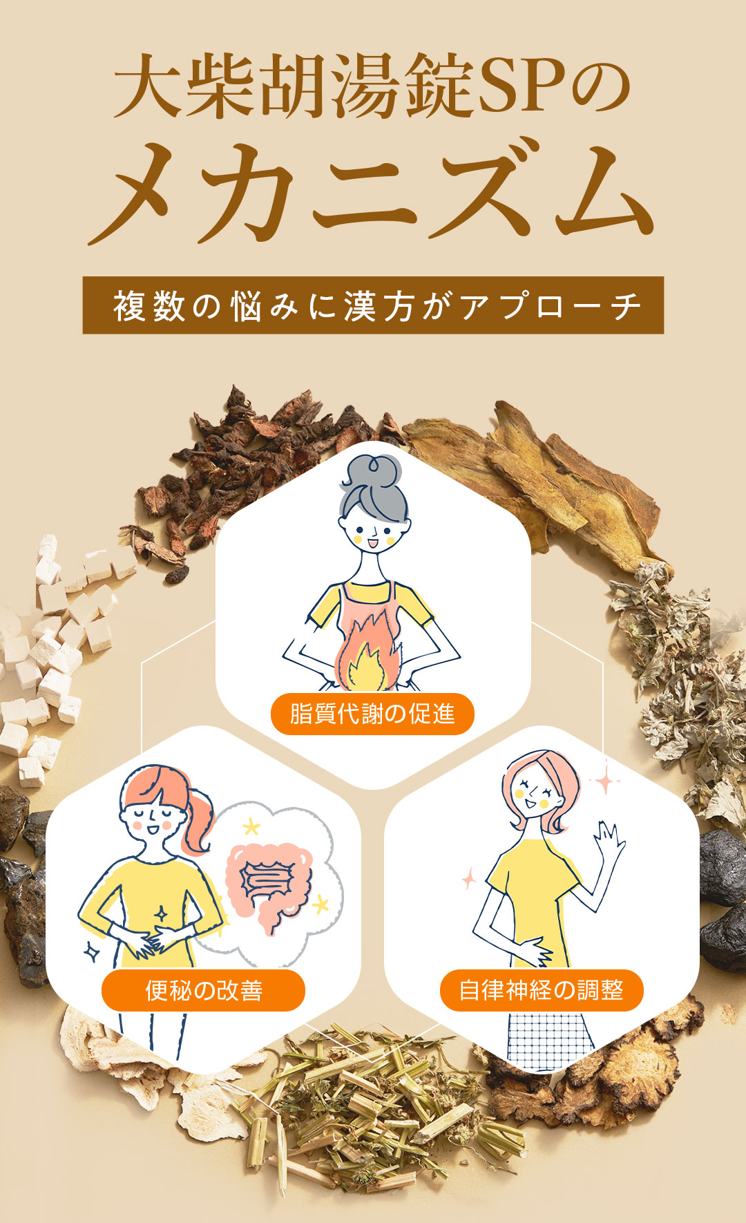 大柴胡湯錠SPのメカニズム