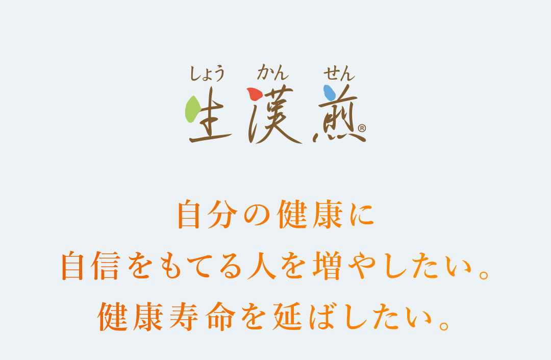 生漢煎について