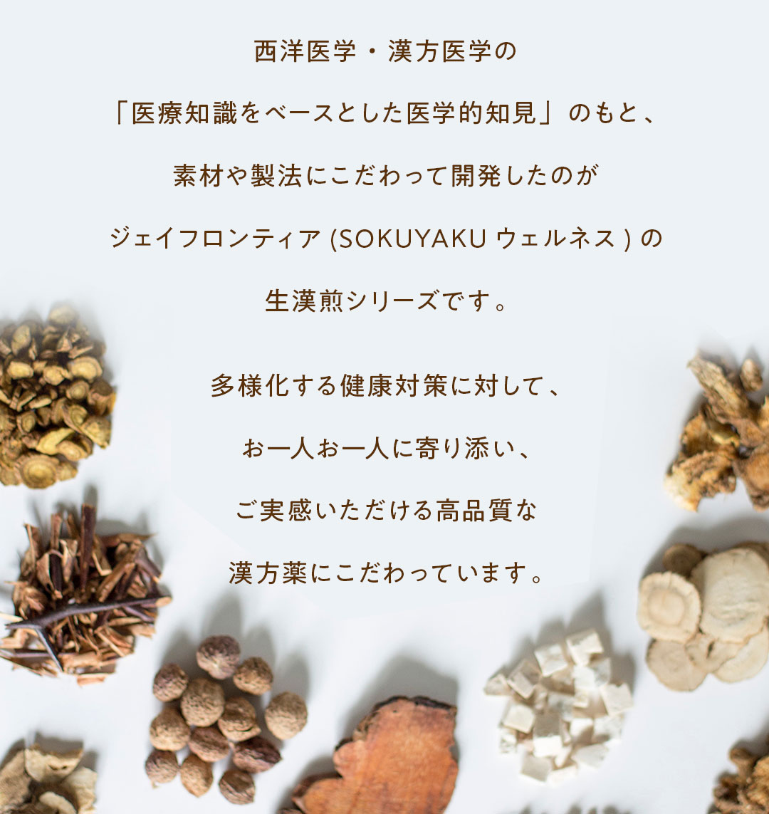 生漢煎について