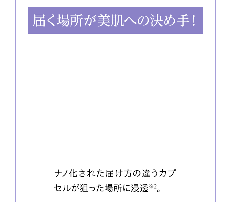ナノ化された届け方の違うカプセルが狙った場所に浸透