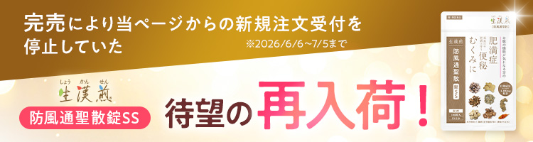 生漢煎 防風通聖散錠SS 待望の再入荷！