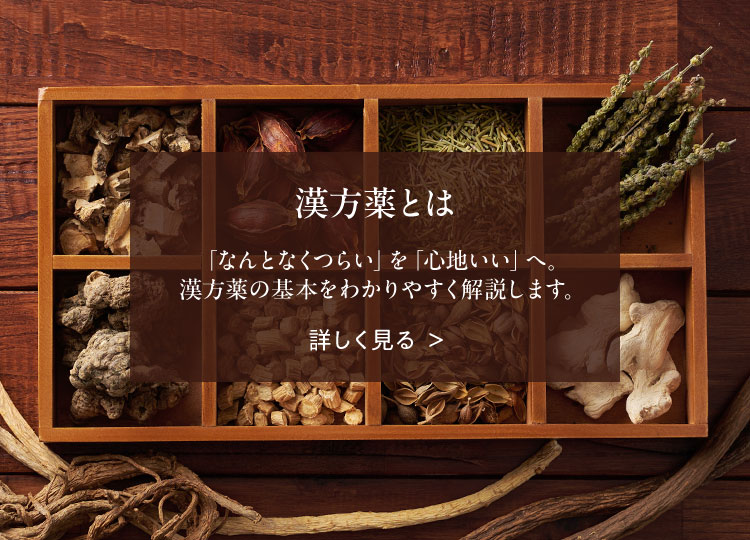 漢方コラム「漢方薬とは」