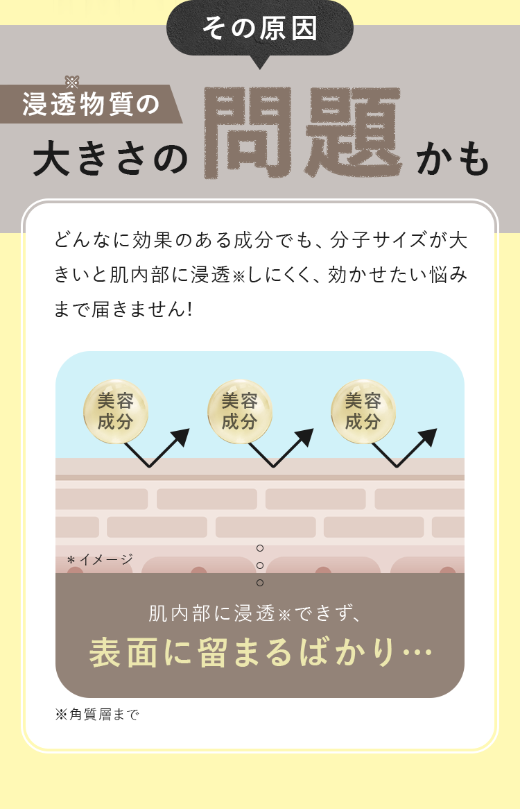 大きさの問題かも