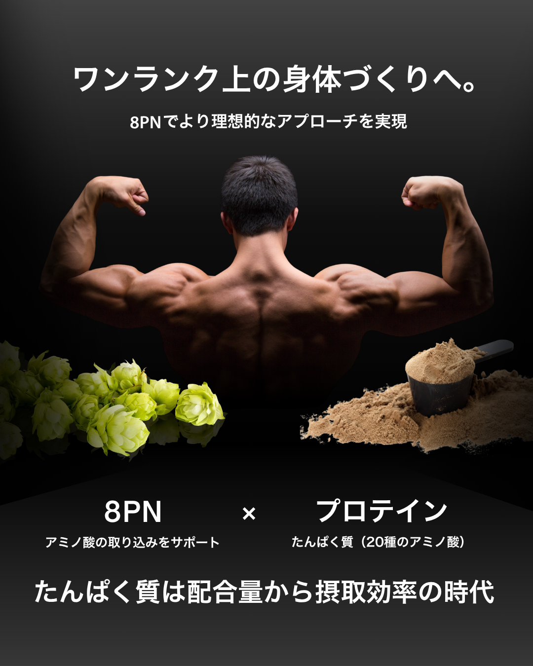 プロテイン チョコレート 1kg