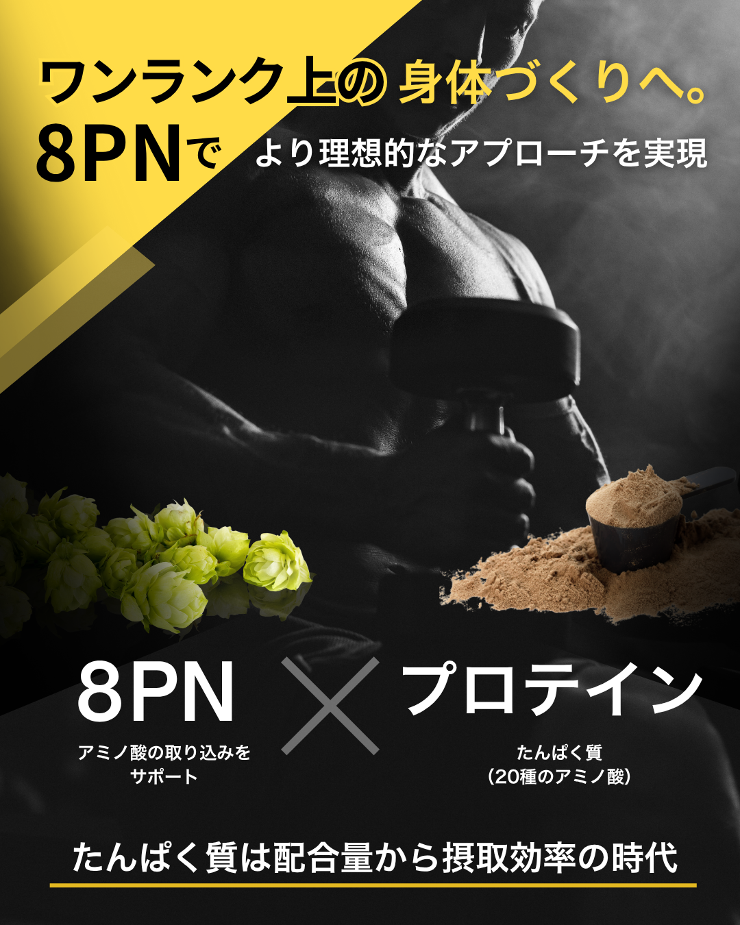 プロテイン チョコレート 1kg