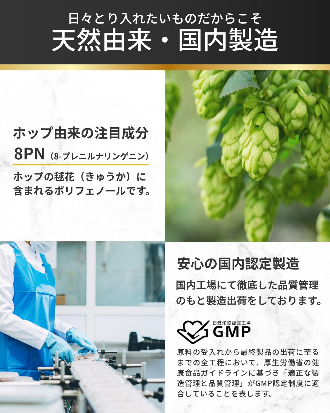 【定期】プロテインチョコレート 1kg