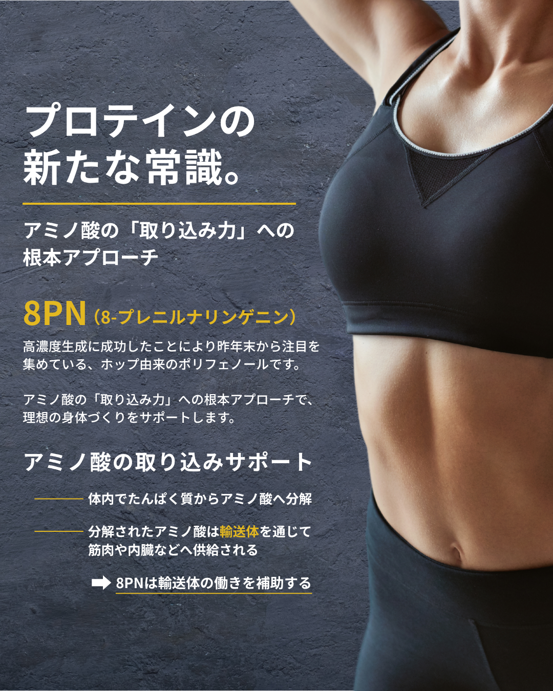 プロテイン チョコレート 1kg
