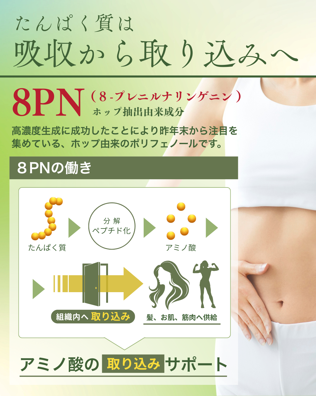 ボタニカルプロテイン チャイ風味