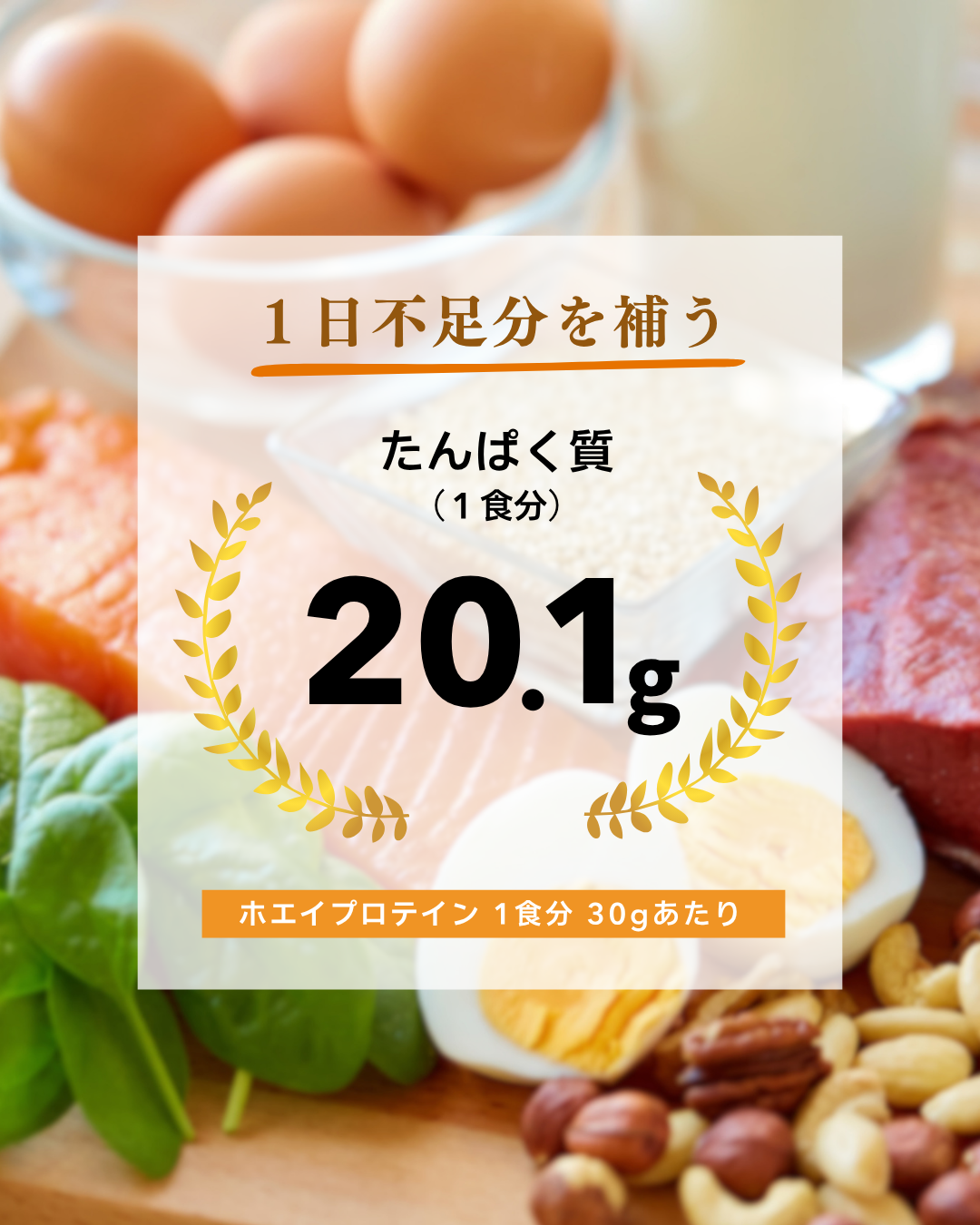 Wellni-WPC 塩キャラメル 1kg