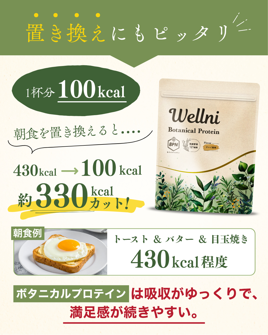 【定期】ボタニカルプロテイン チャイ風味 390g