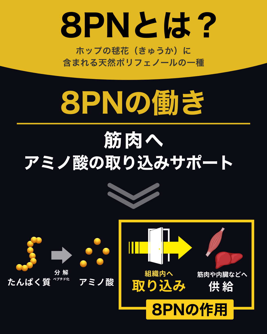 プロテイン チョコレート 1kg