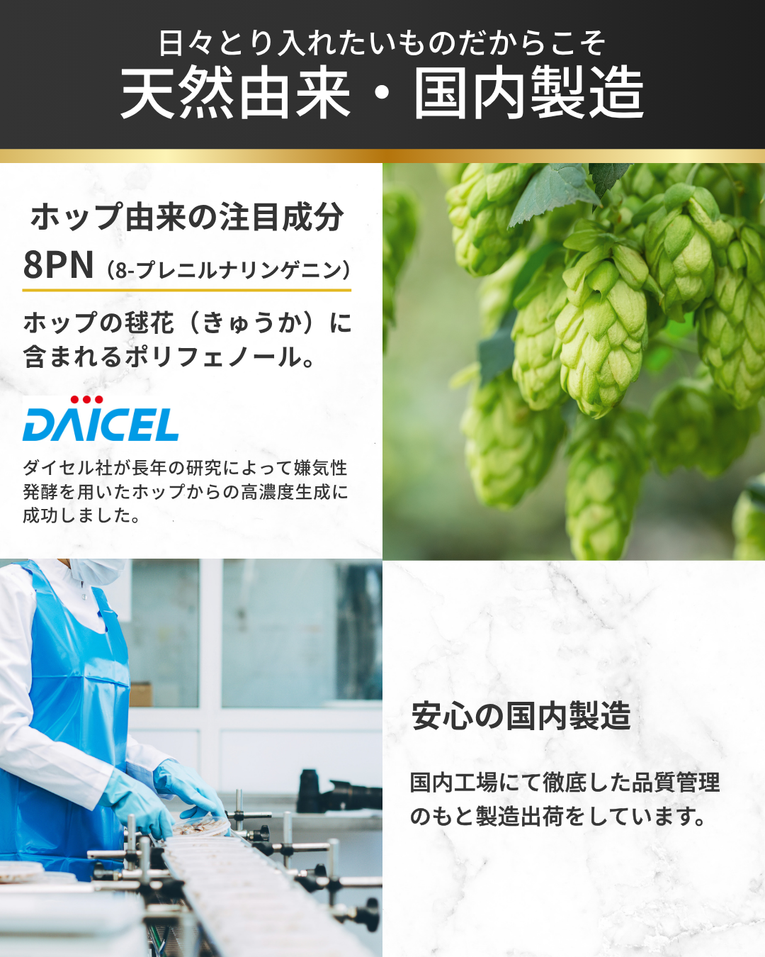 プロテイン チョコレート 1kg
