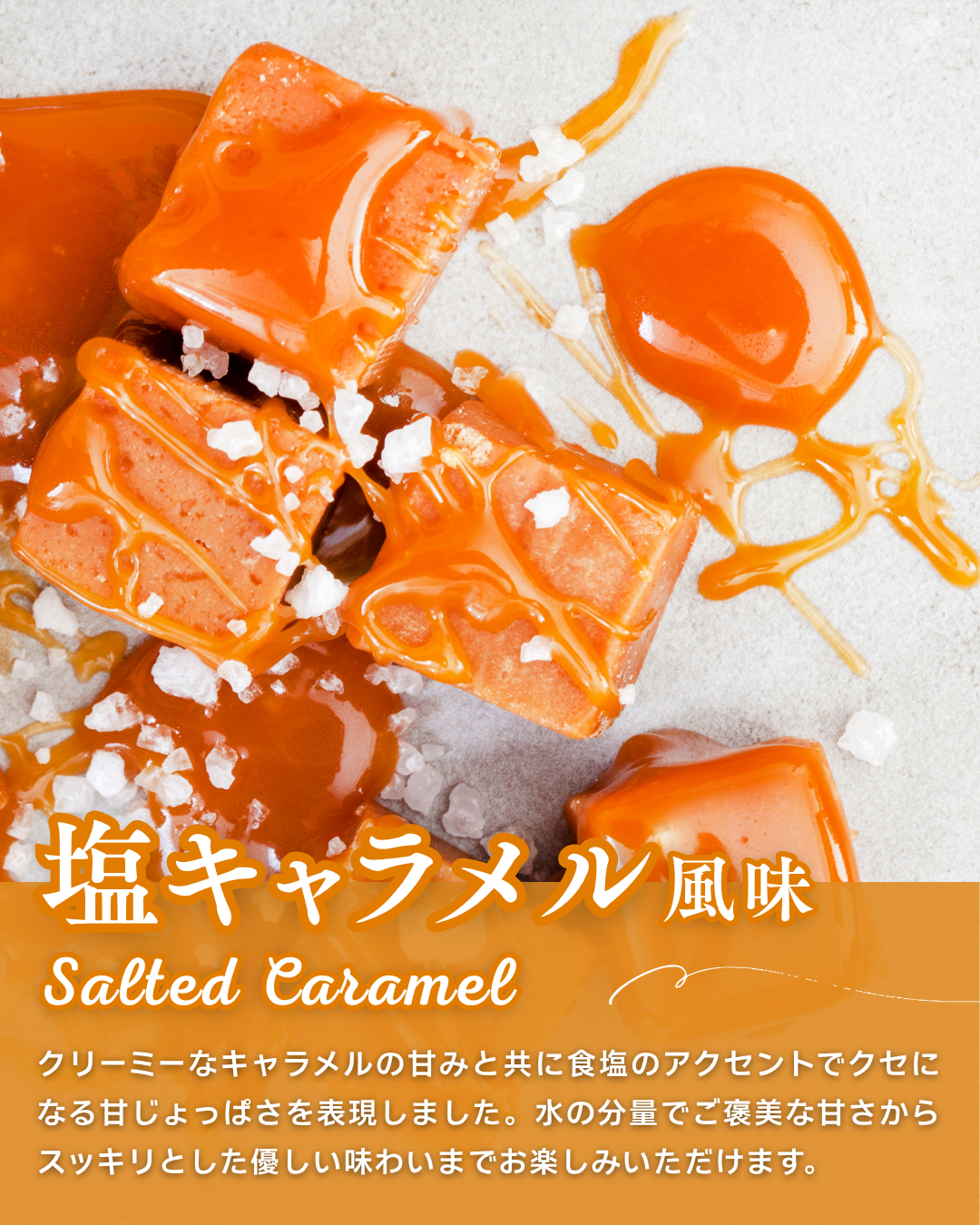 Wellni-WPC 塩キャラメル 1kg