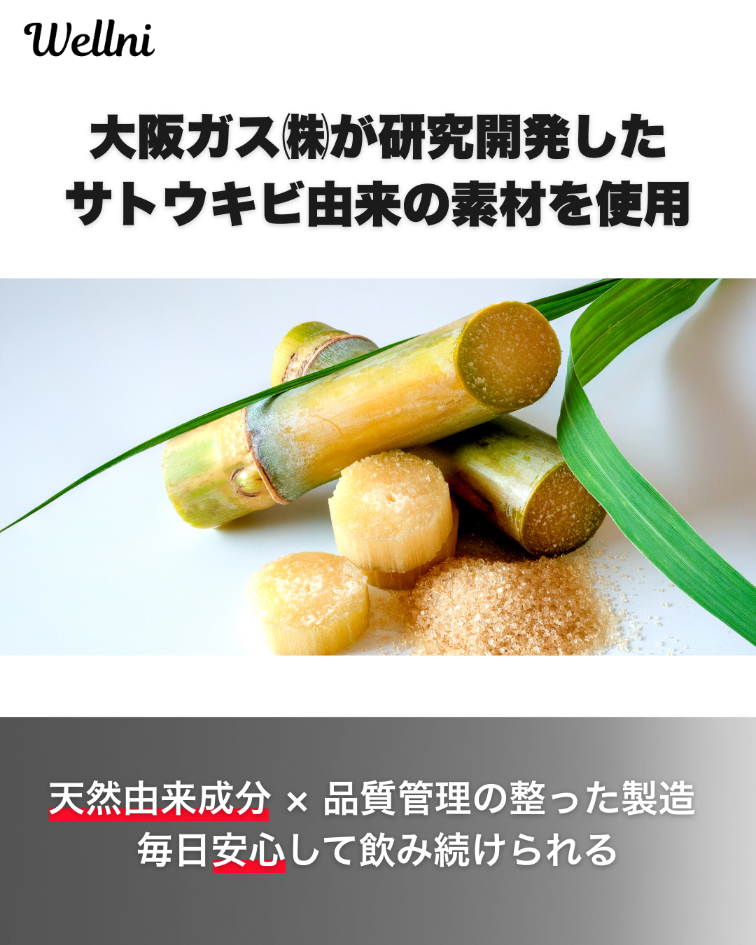 【定期】KETO-BHB パウダー30包 アセロラ風味  ご利用日数: 15日分