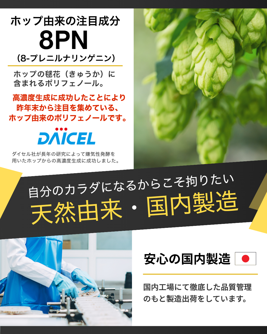 こだわりのポイント