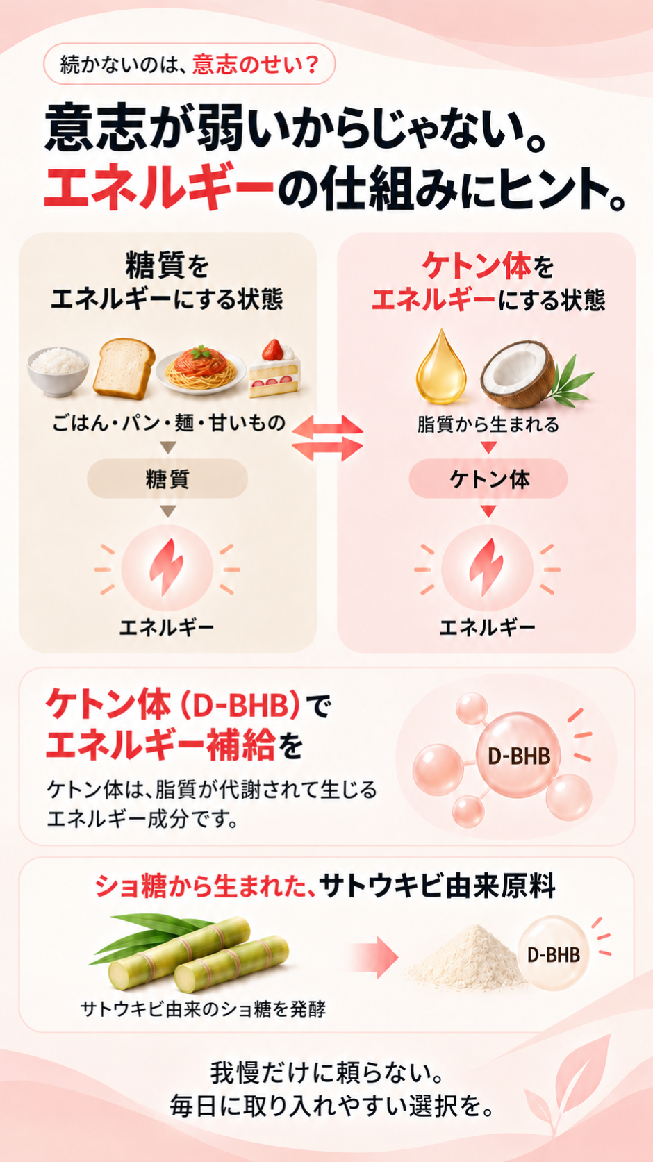 意志が弱いからじゃない。エネルギーの仕組みにヒント。