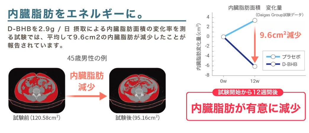糖質依存から10分で脱却　スリムボディ　リバウンド　サトウキビ由来　D-BHB