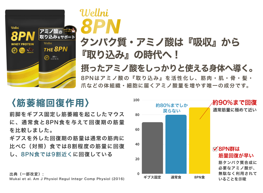 8PN THE8PN 8PN プロテイン アミノ酸の取り込み効率をサポート ホップ由来原料8PN配合。摂ったアミノ酸を”しっかりと使える身体”へ導くことに特化した製品です。