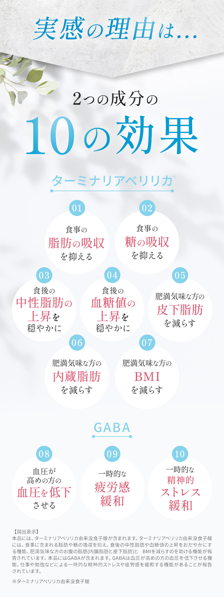 ターミナリアベリリカとGABAで10の効果
