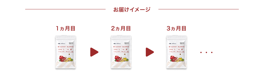1ヵ月ごとコース お届けイメージ