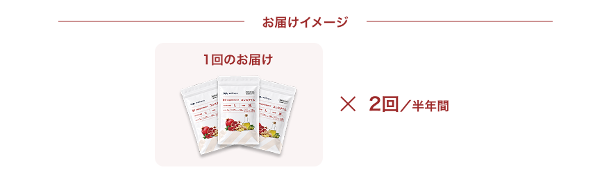 6ヵ月間コース お届けイメージ