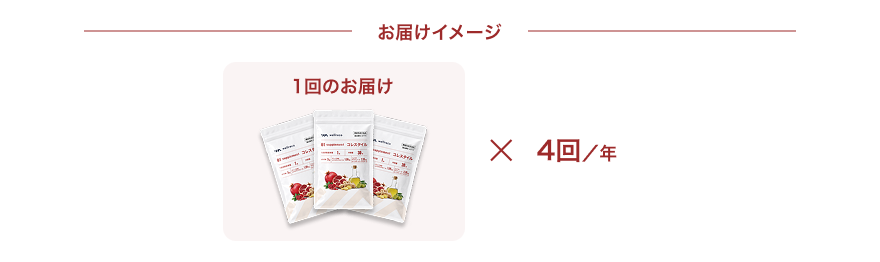 年間コース お届けイメージ