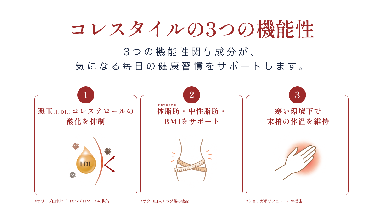 コレスタイルの3つの機能性