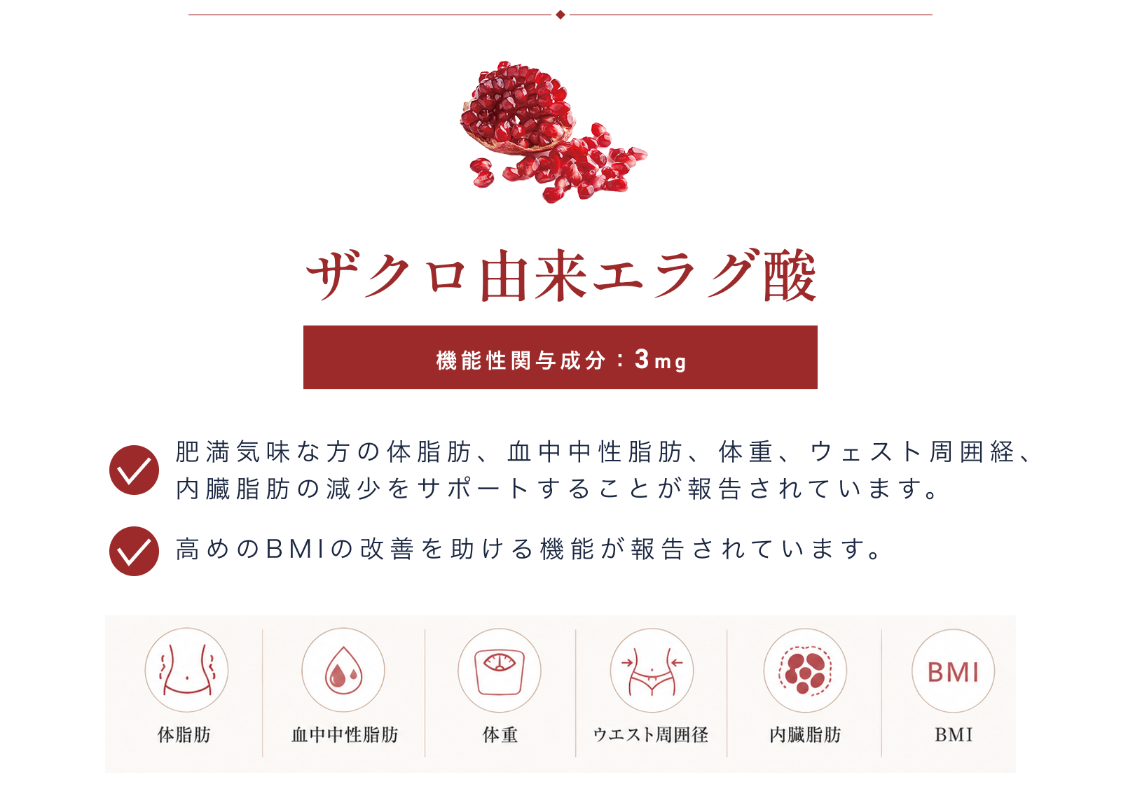 ザクロ由来エラグ酸の機能性