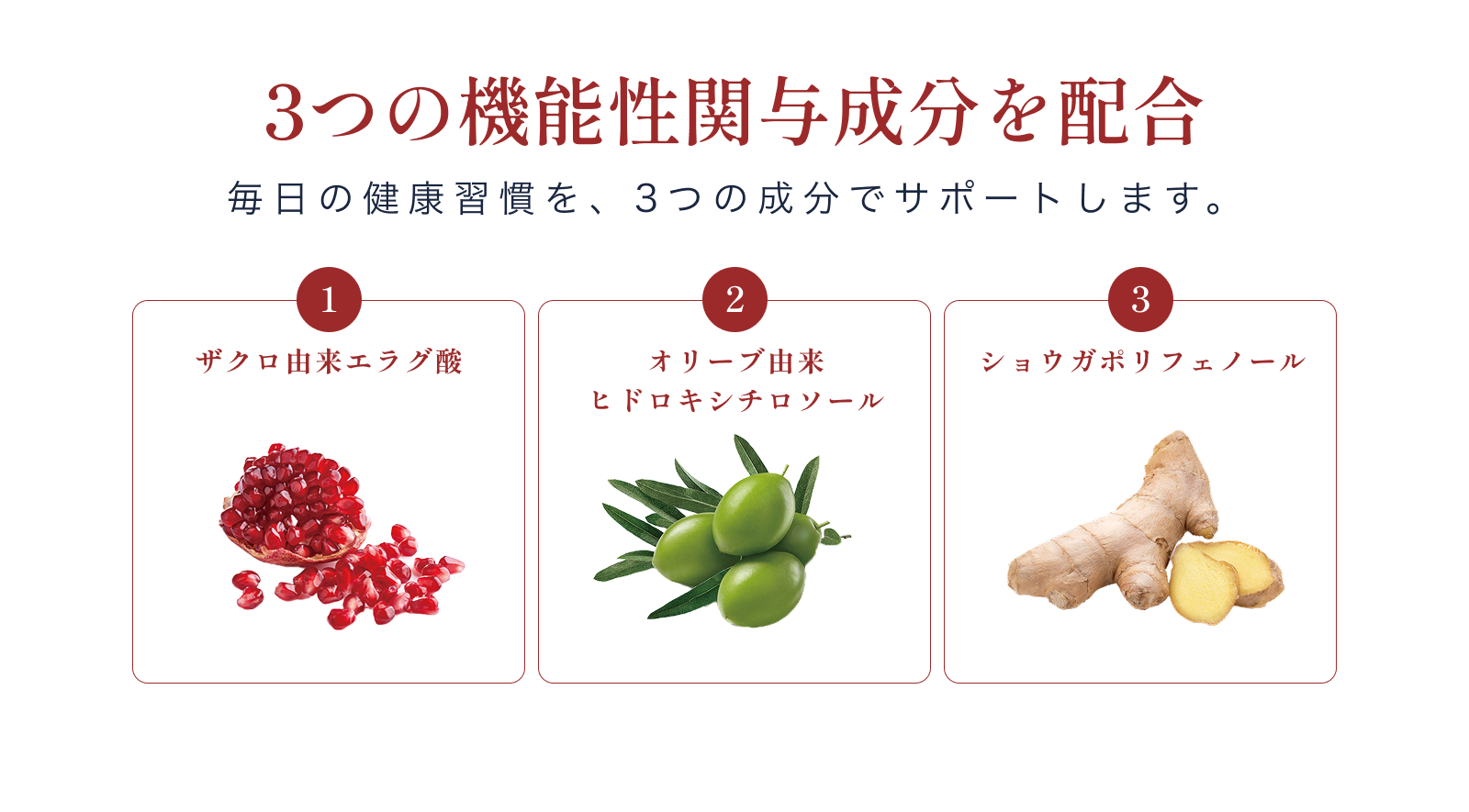 コレスタイルの3つの機能性関与成分