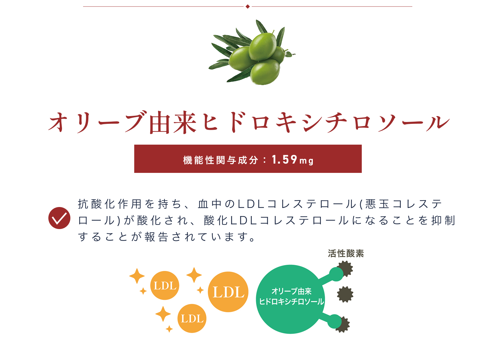 オリーブ由来ヒドロキシチロソールの機能性