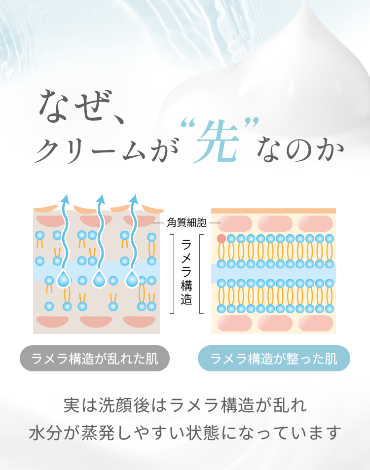 なぜ、クリームが“先”なのか実は洗顔後はラメラ構造が乱れ水分が蒸発しやすい状態になっています