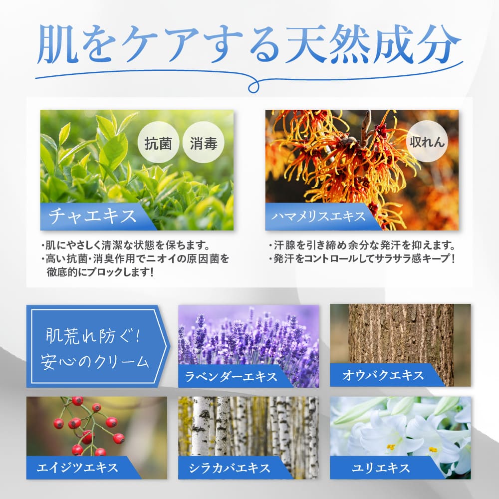 商品紹介