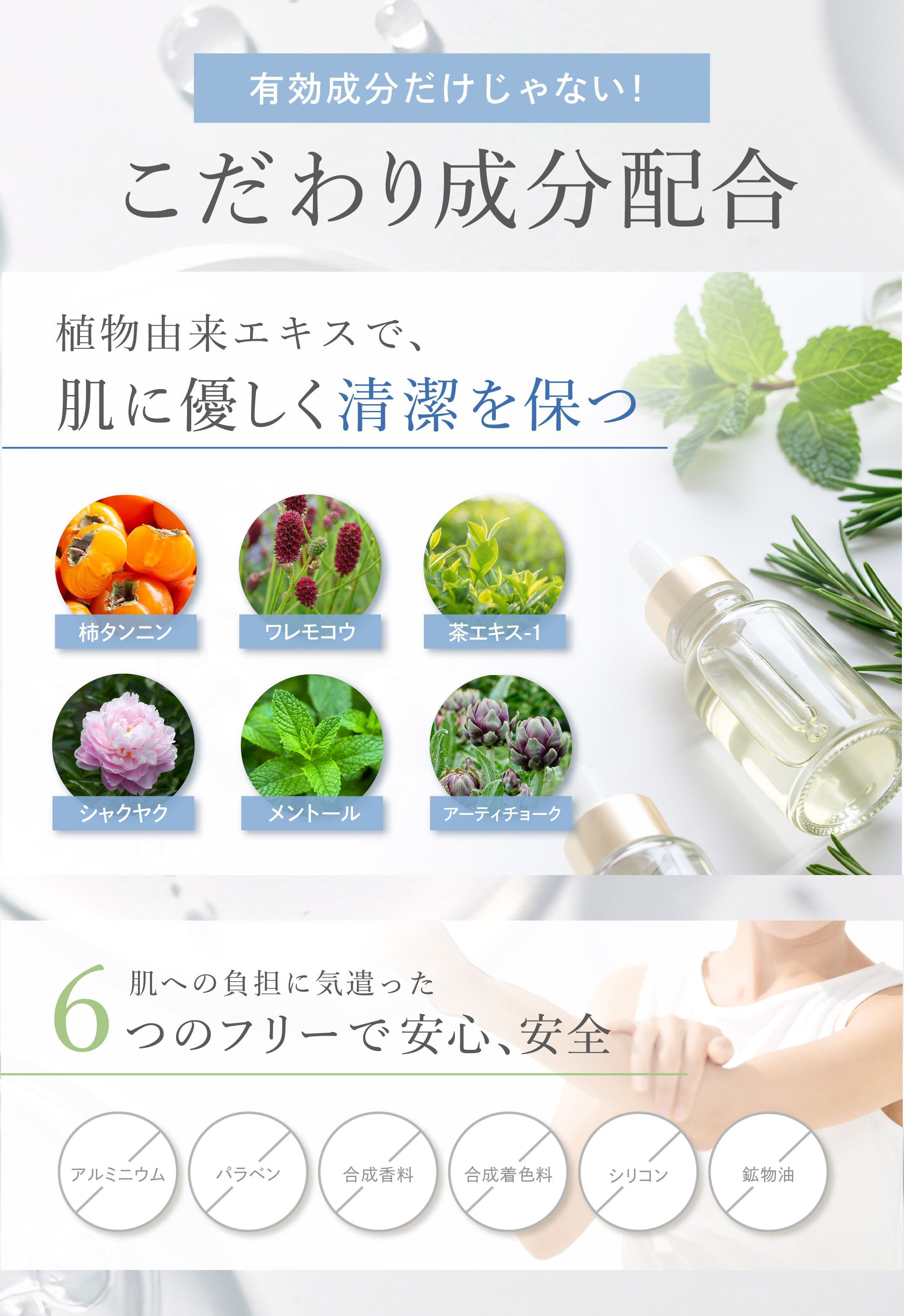 商品紹介