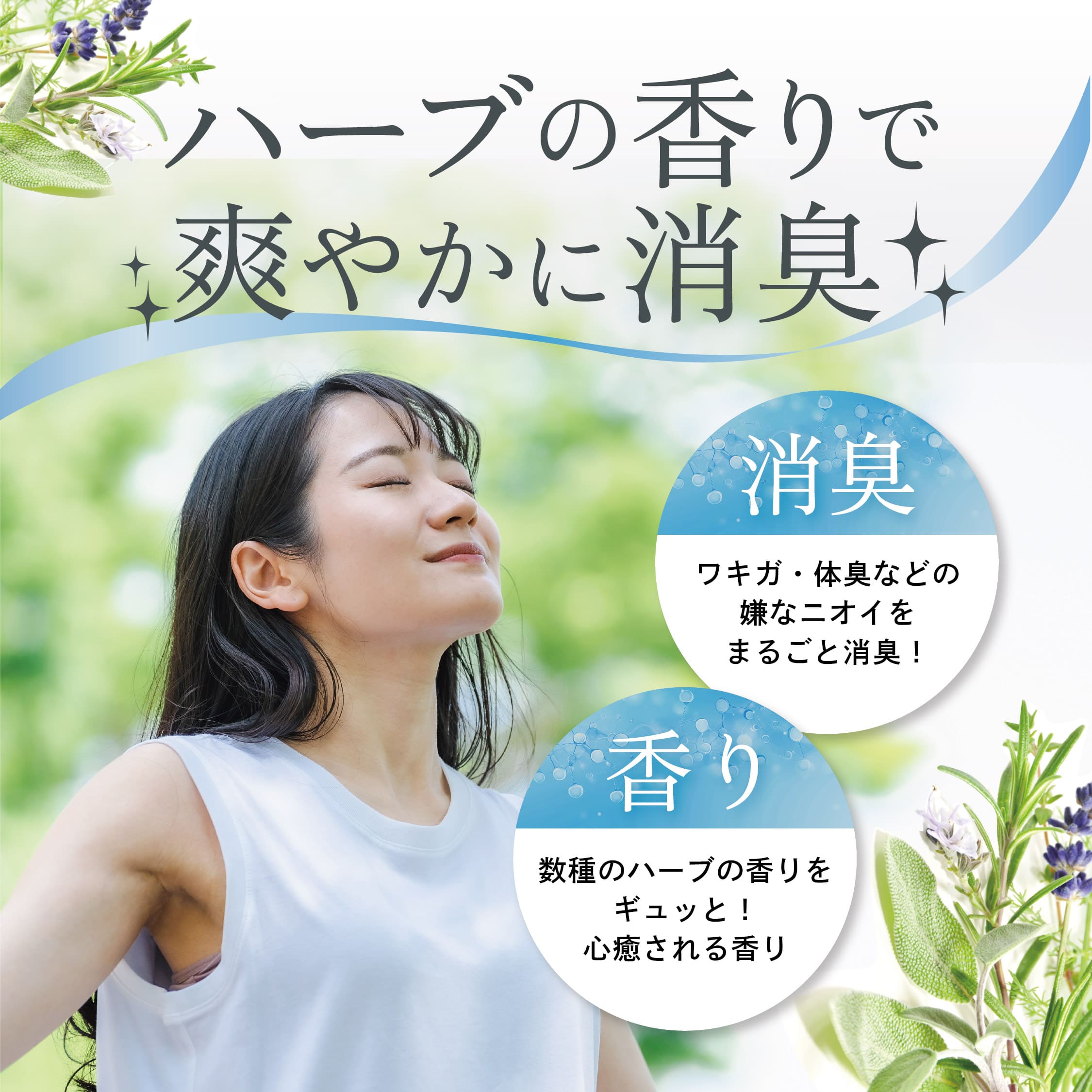 商品紹介