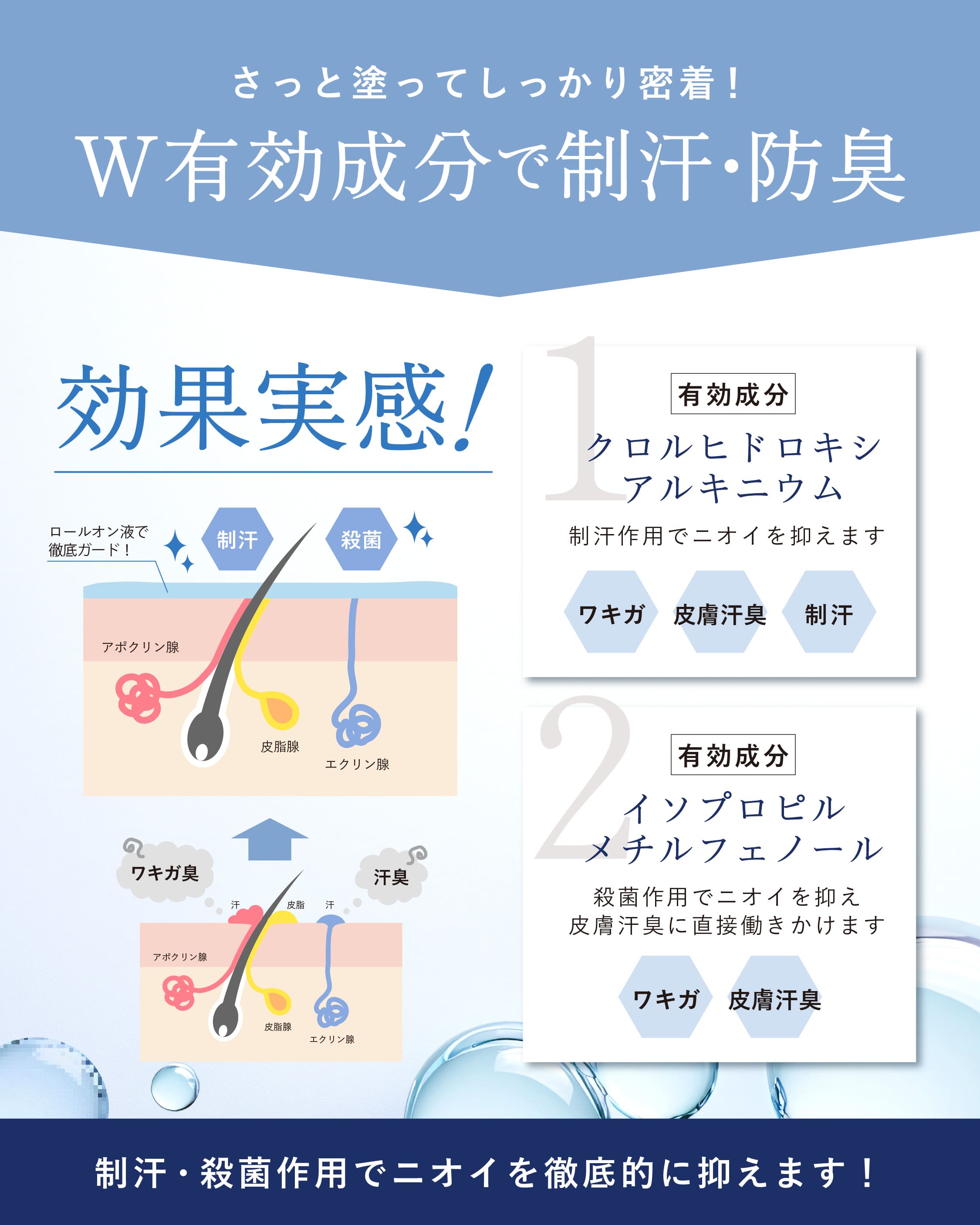 商品紹介