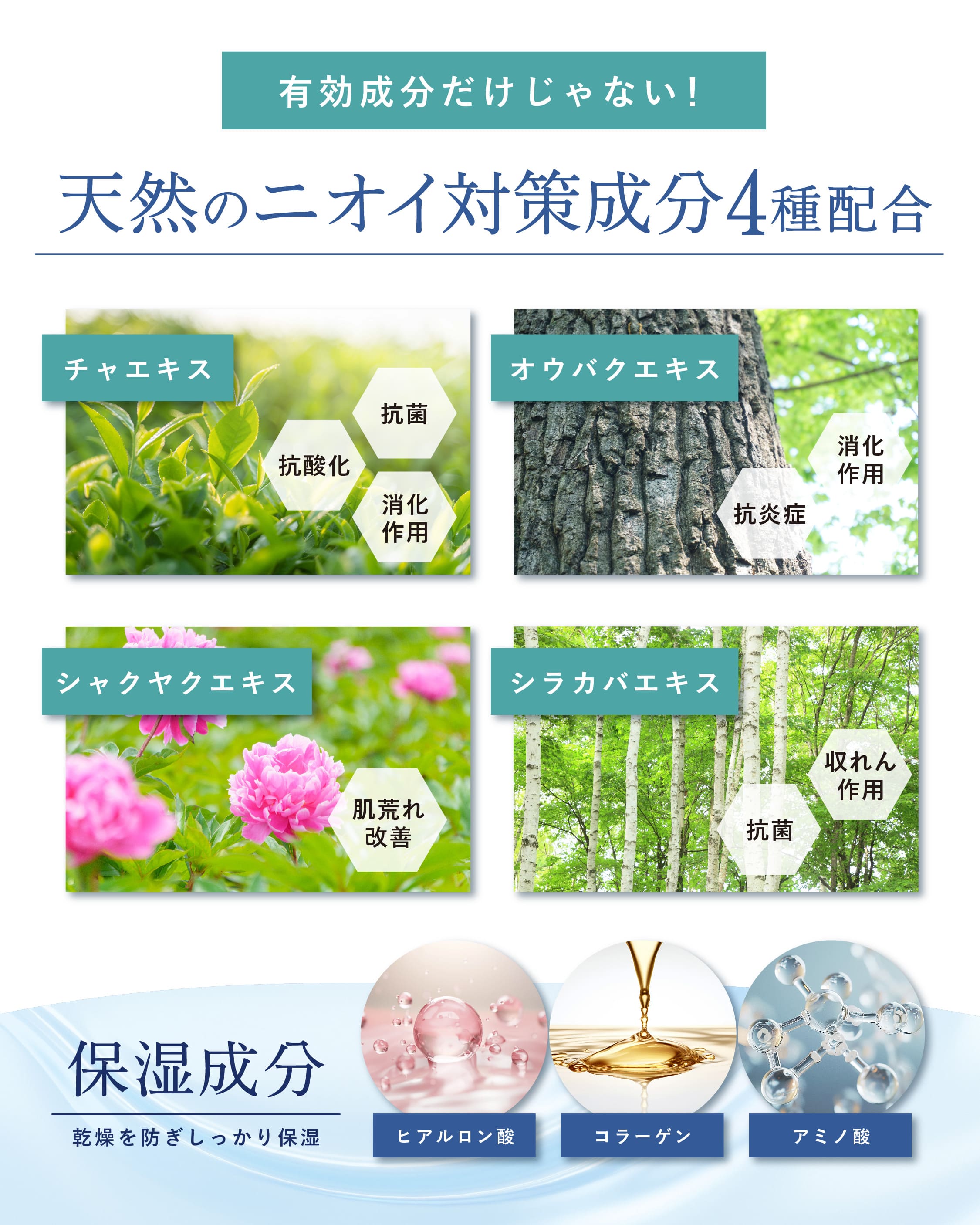 商品紹介
