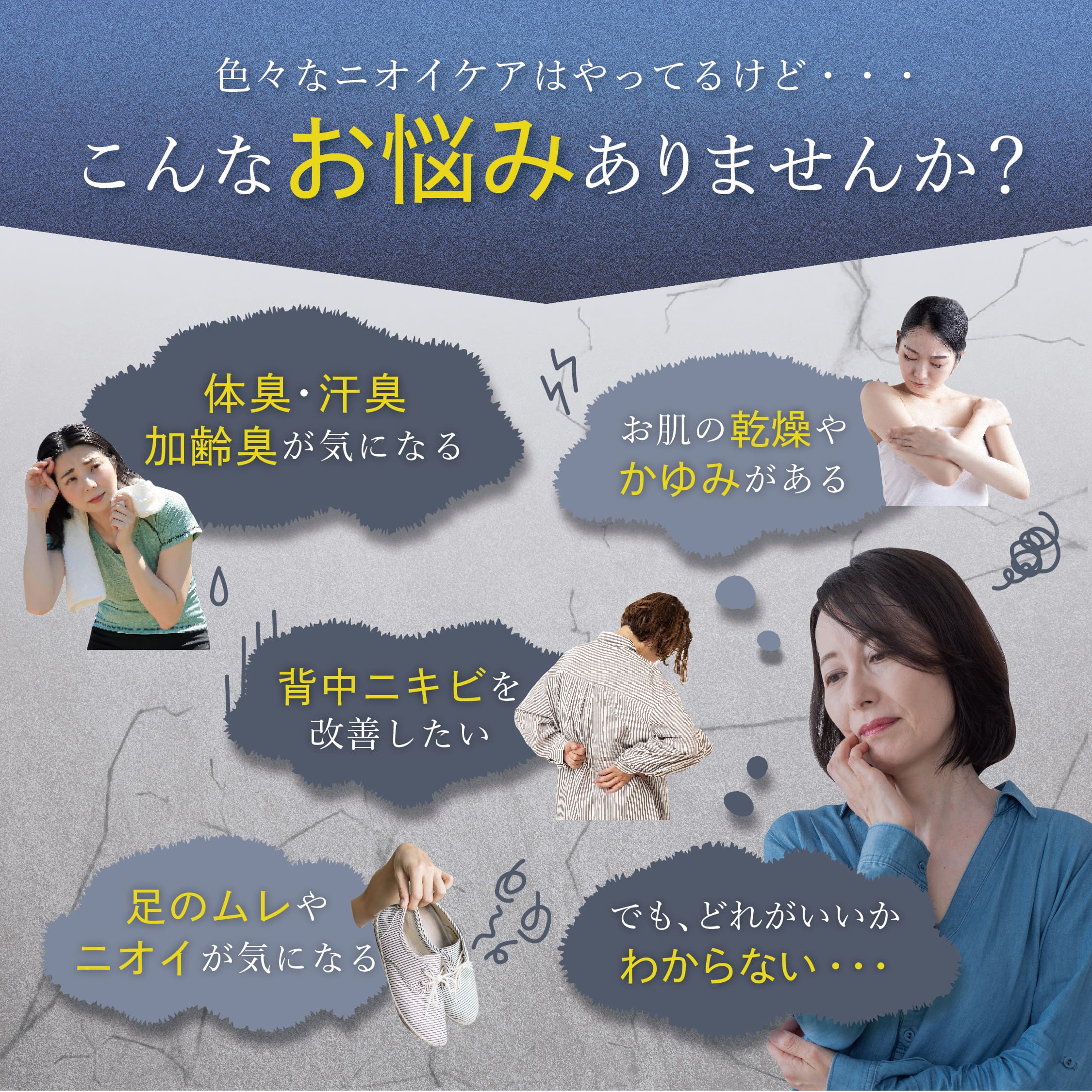 商品紹介