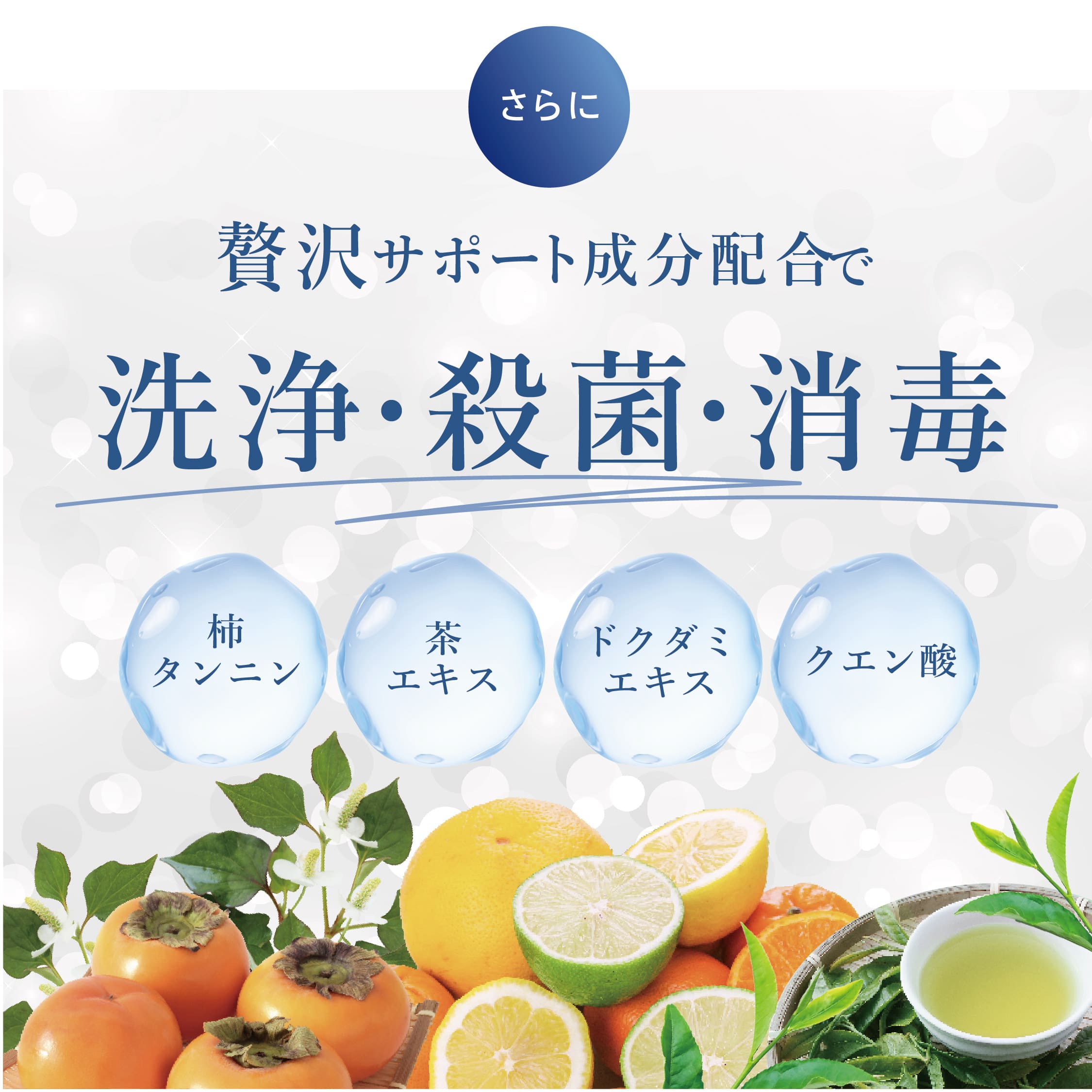 商品紹介