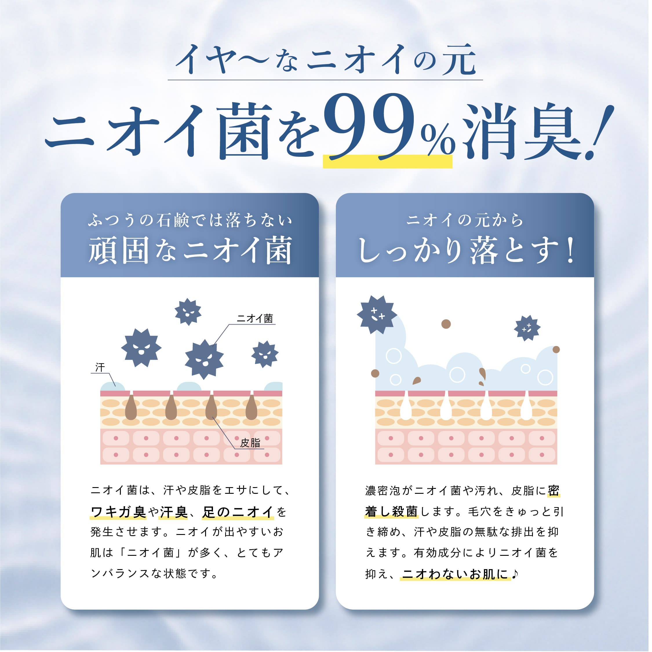 商品紹介